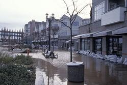 flood,urban,disaster,rain,sandbags