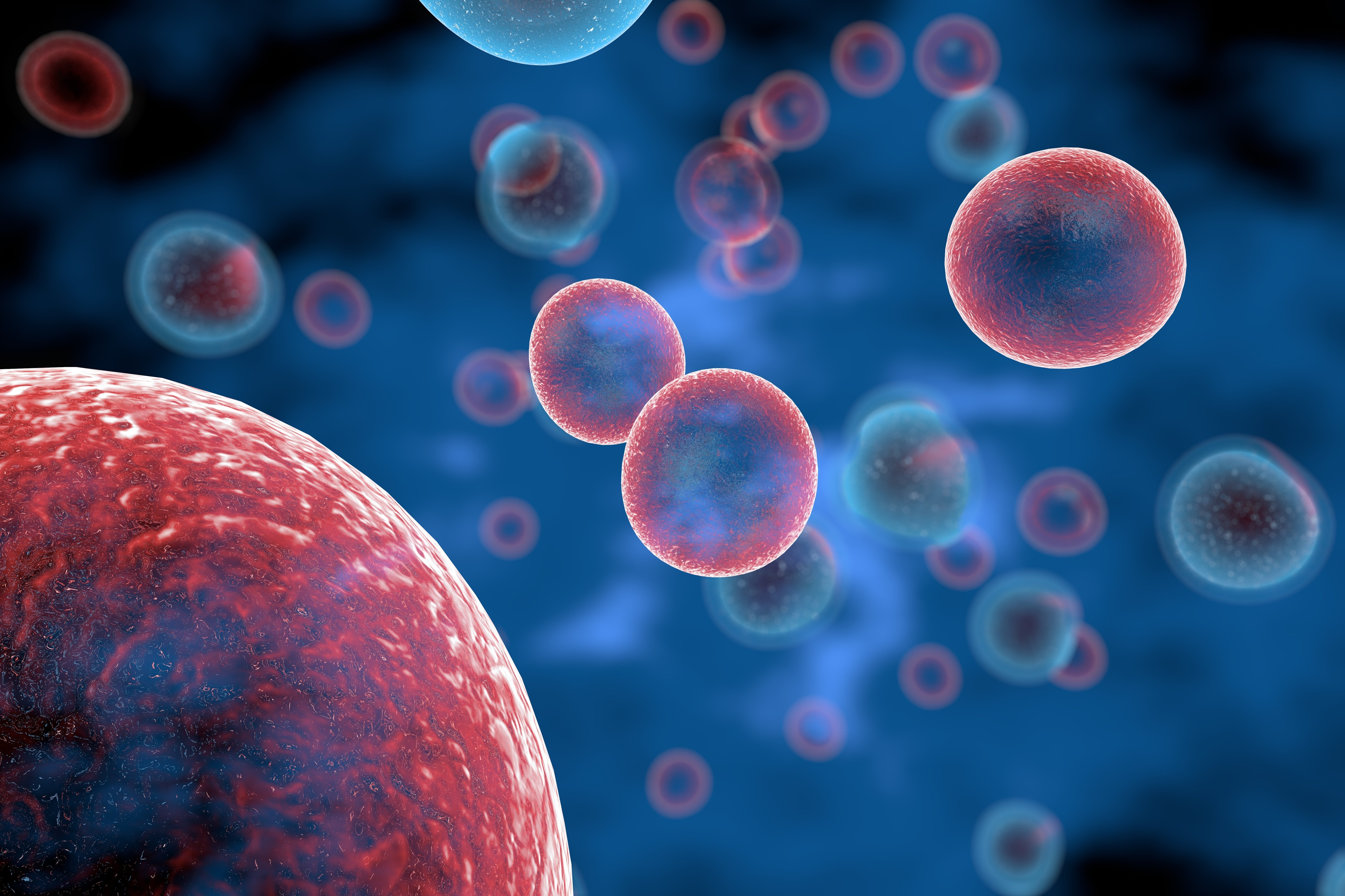 AdobeStock_267117637