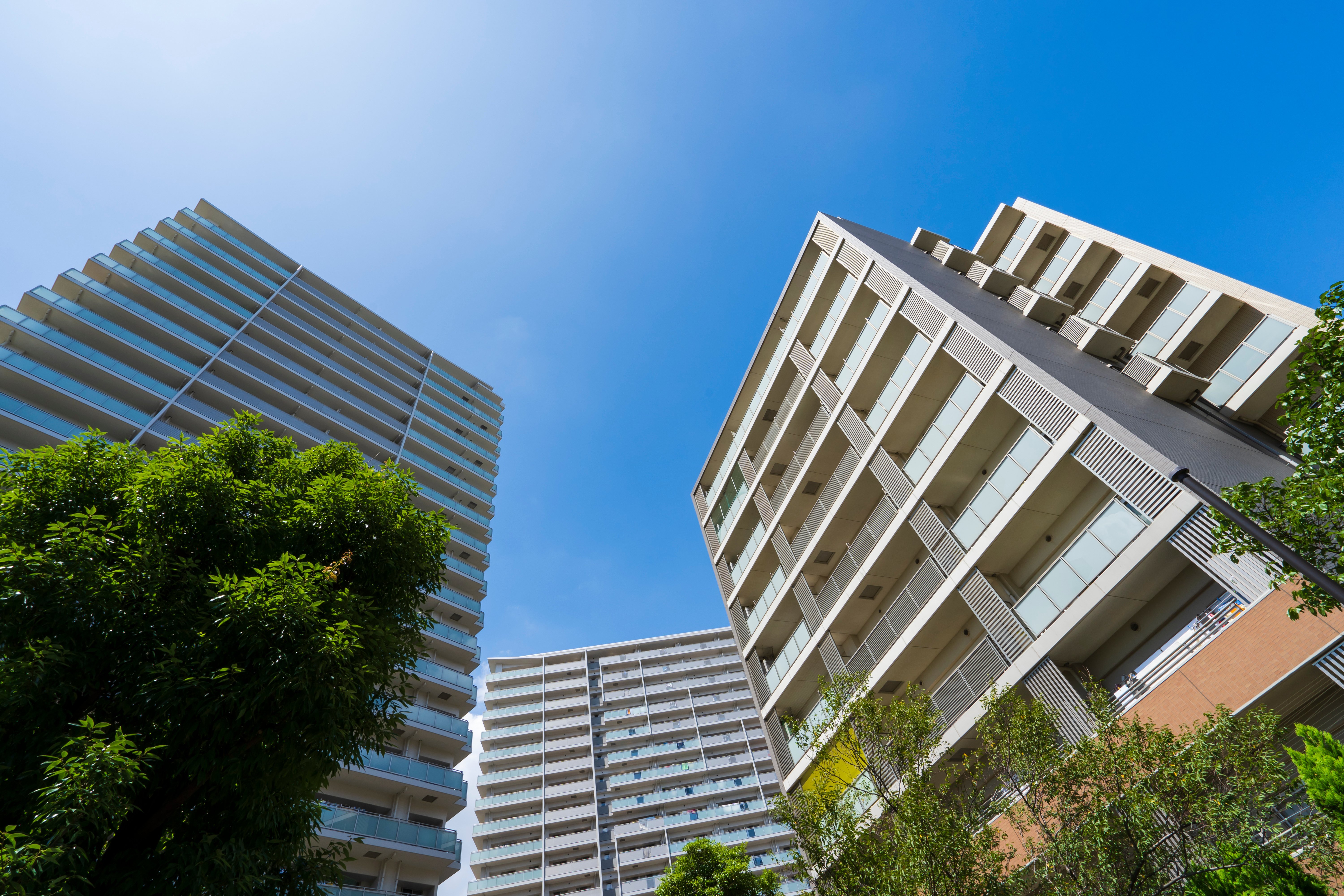 AdobeStock_375526887