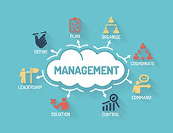 Management_crop.jpg