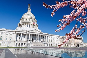 US Capital - Blog-1
