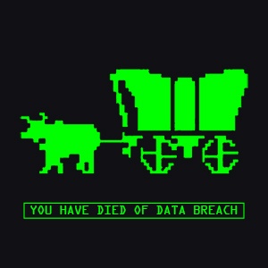 You Have Died Of Data Breach.jpg