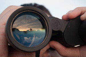Blind Spots - FB.jpg