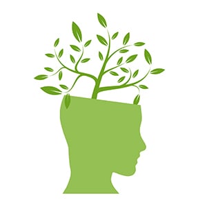 How To Nurture A Growth Mindset - Blog