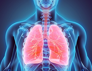 Lung Cancer Awareness Month - FB.jpg